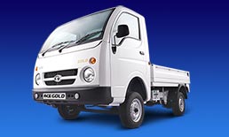 Tata Ace Gold Safety Features