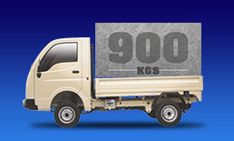 Tata Ace Gold Safety Features