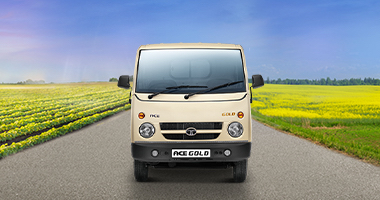 Tata Ace Gold Features