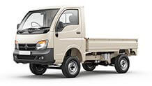 Tata Ace Ivory LH view Small